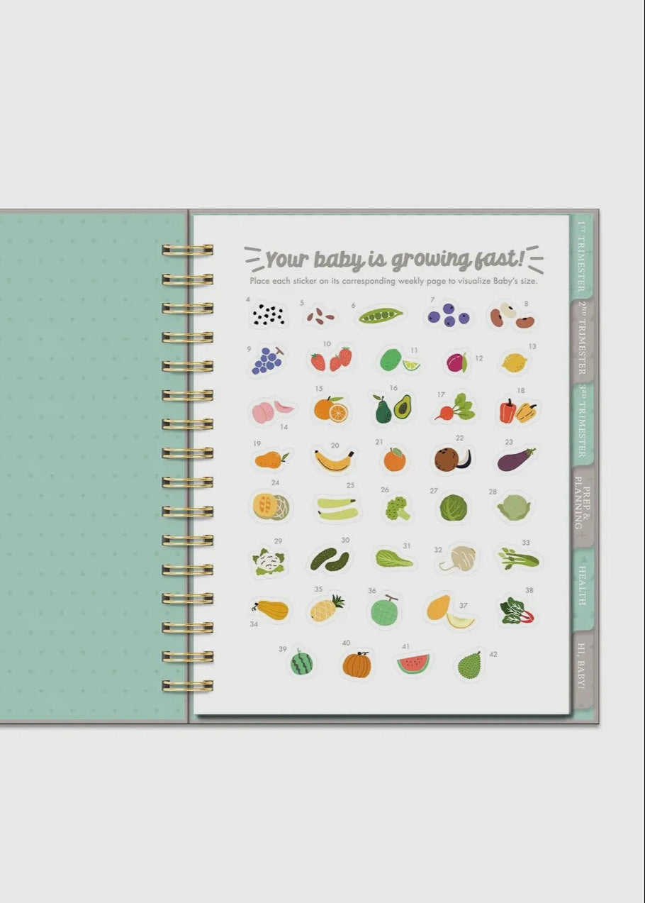 Countdown To Baby Undated Pregnancy Planner